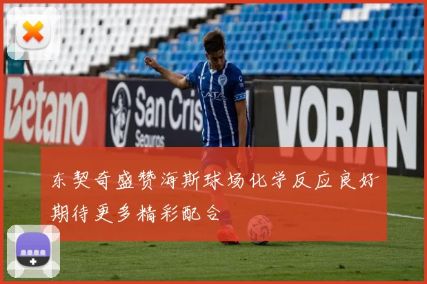 东契奇盛赞海斯球场化学反应良好期待更多精彩配合