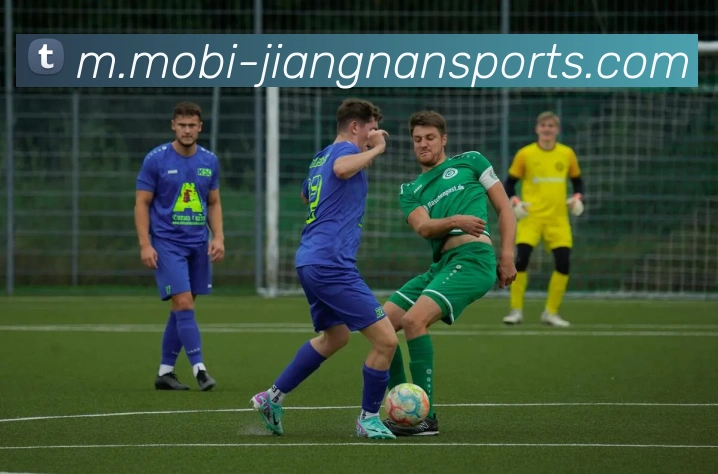 江南体育全站App